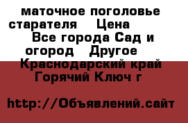 маточное поголовье старателя  › Цена ­ 3 700 - Все города Сад и огород » Другое   . Краснодарский край,Горячий Ключ г.